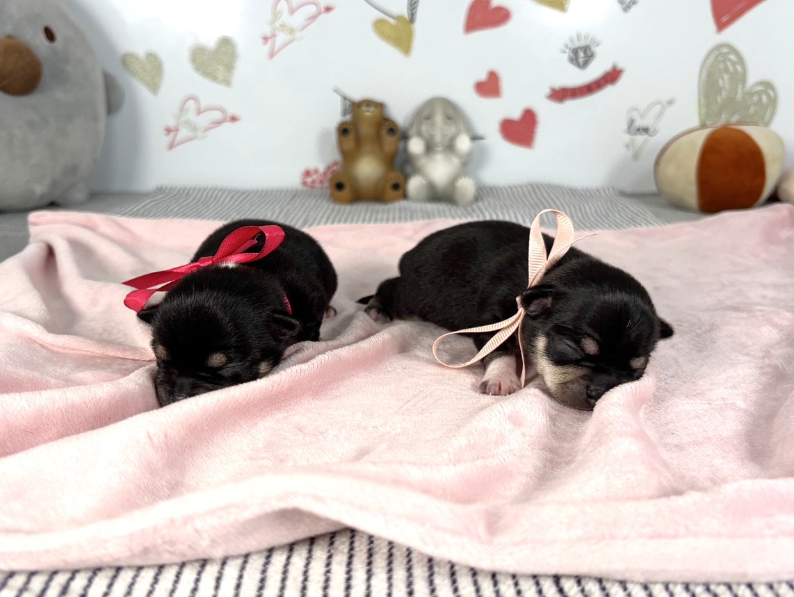 赤ちゃん写真1-3