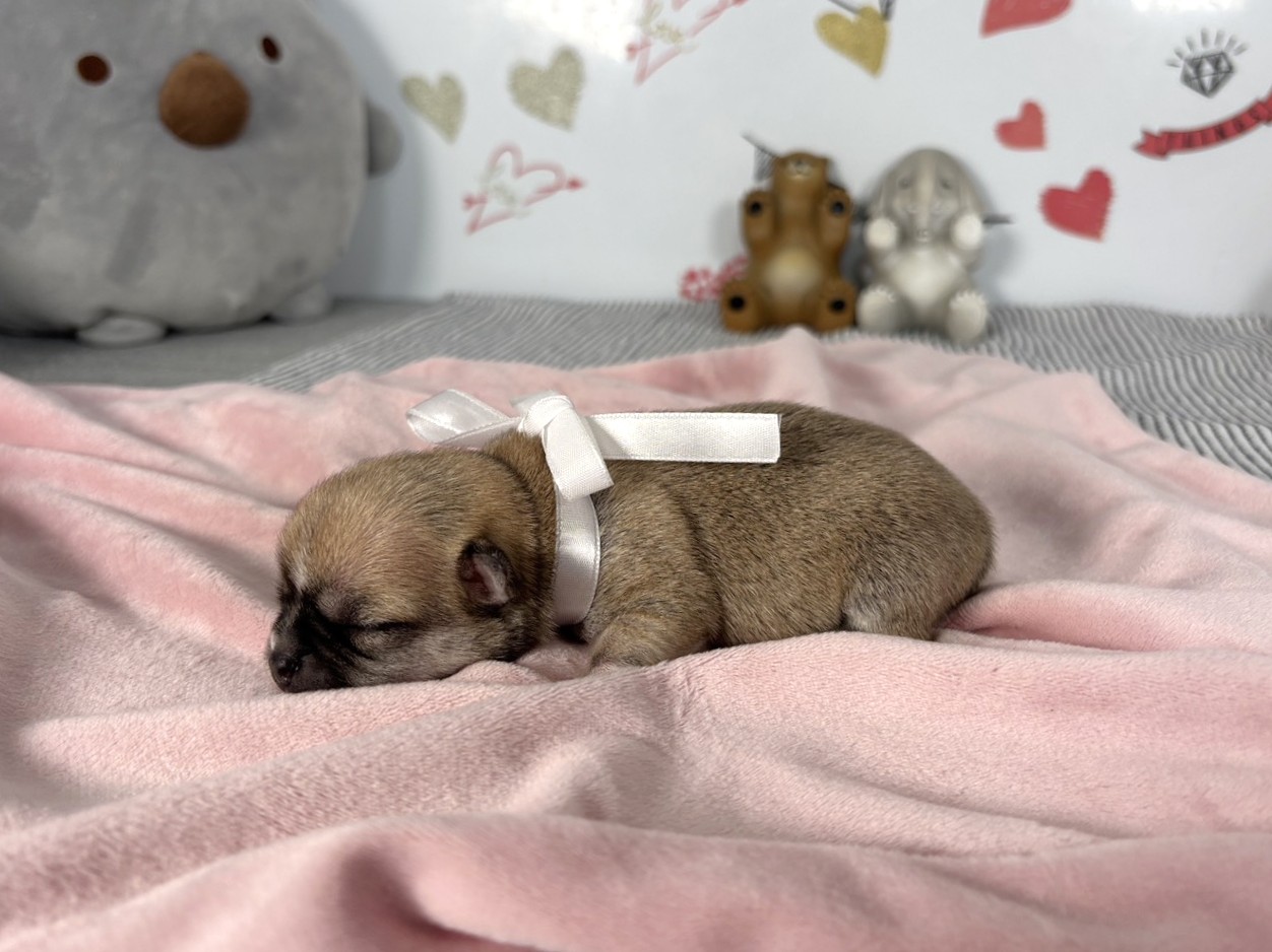 赤ちゃん写真1-2