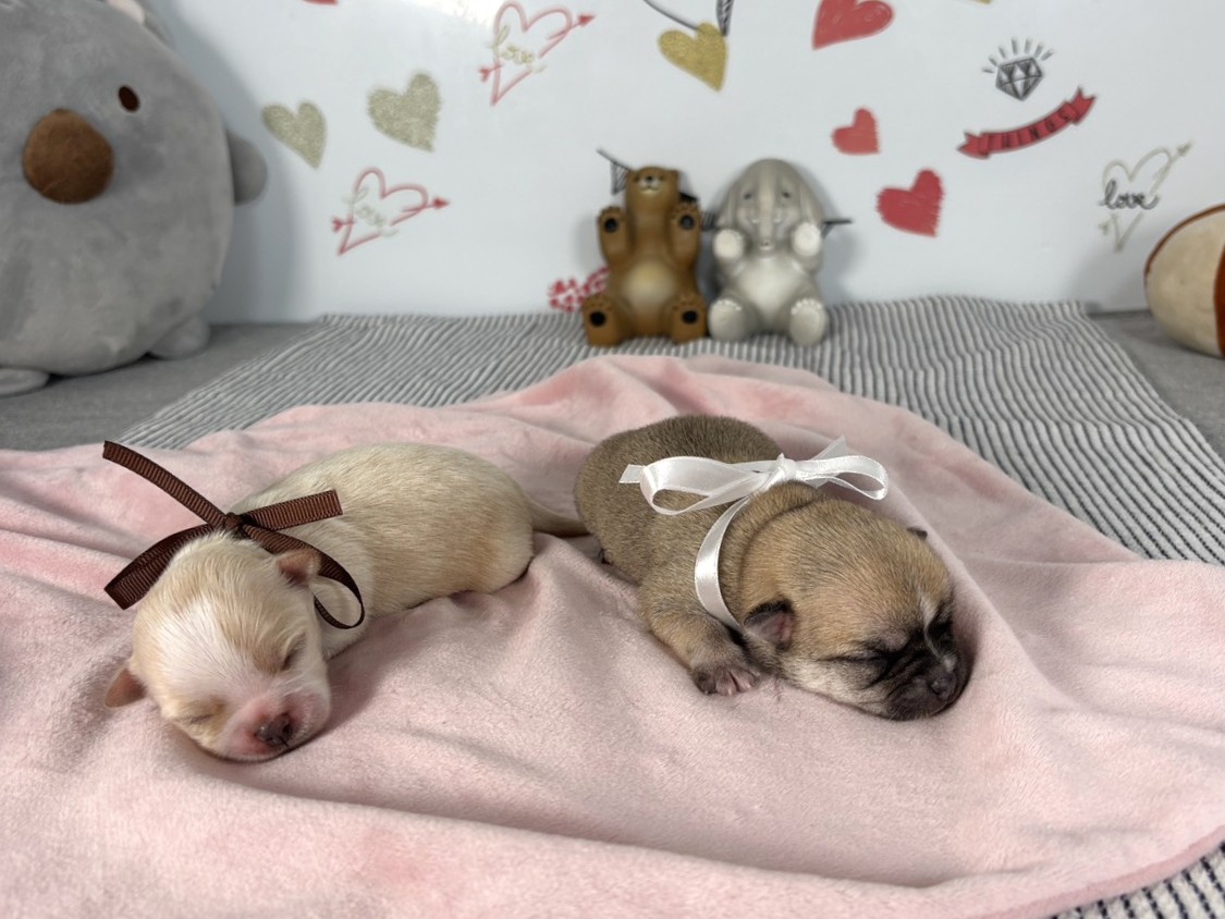 赤ちゃん写真1-3