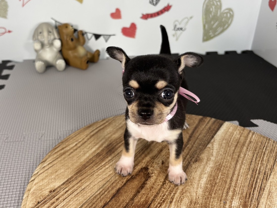 赤ちゃん写真2-1