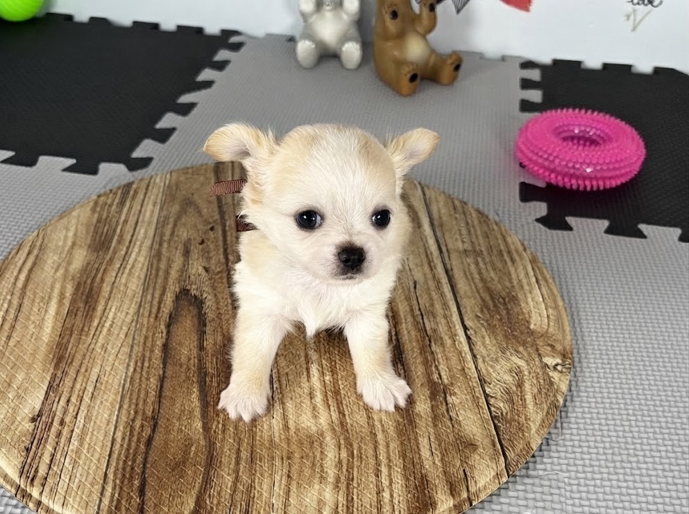 赤ちゃん写真2-1