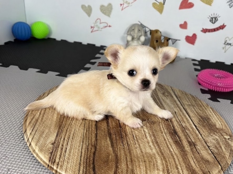 赤ちゃん写真2-2