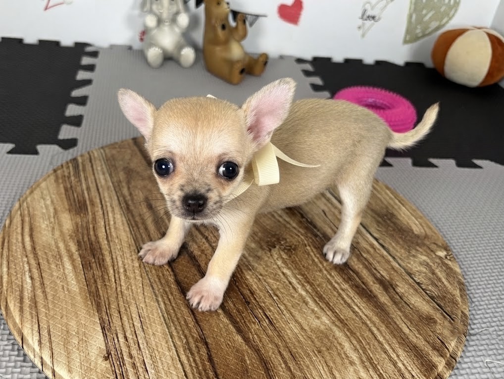 赤ちゃん写真2-2
