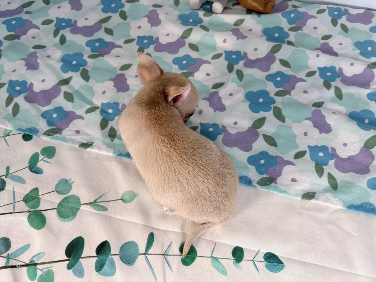 赤ちゃん写真3-3