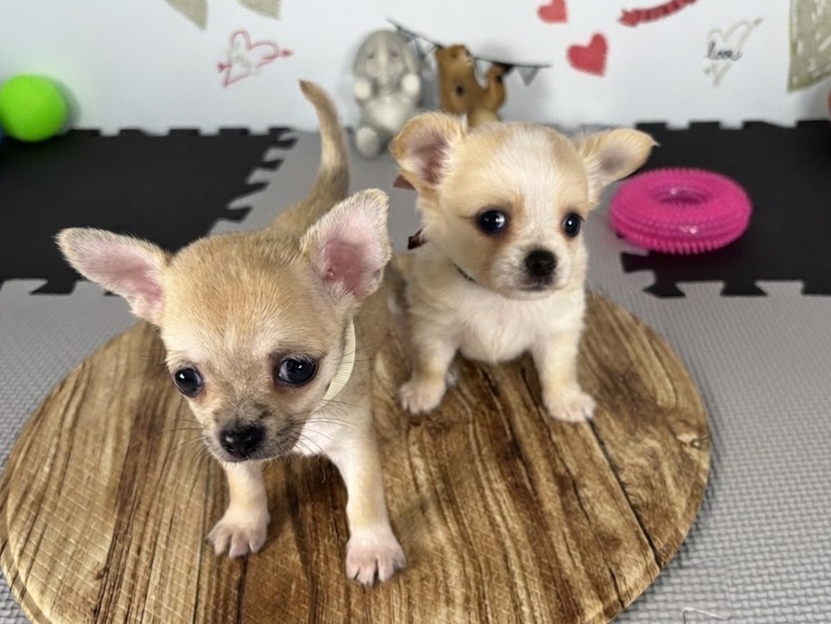 赤ちゃん写真2-3