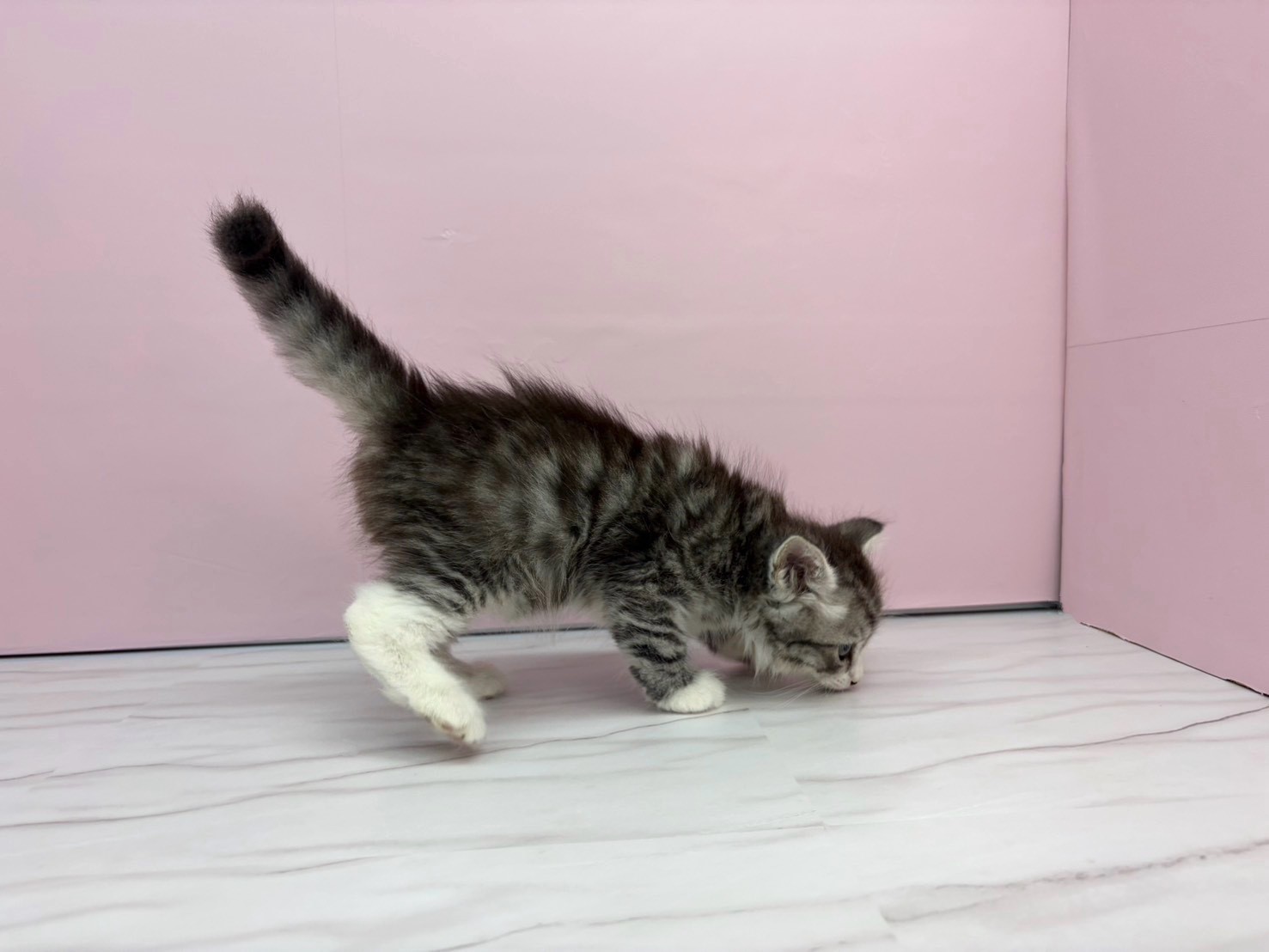 赤ちゃん写真2-2