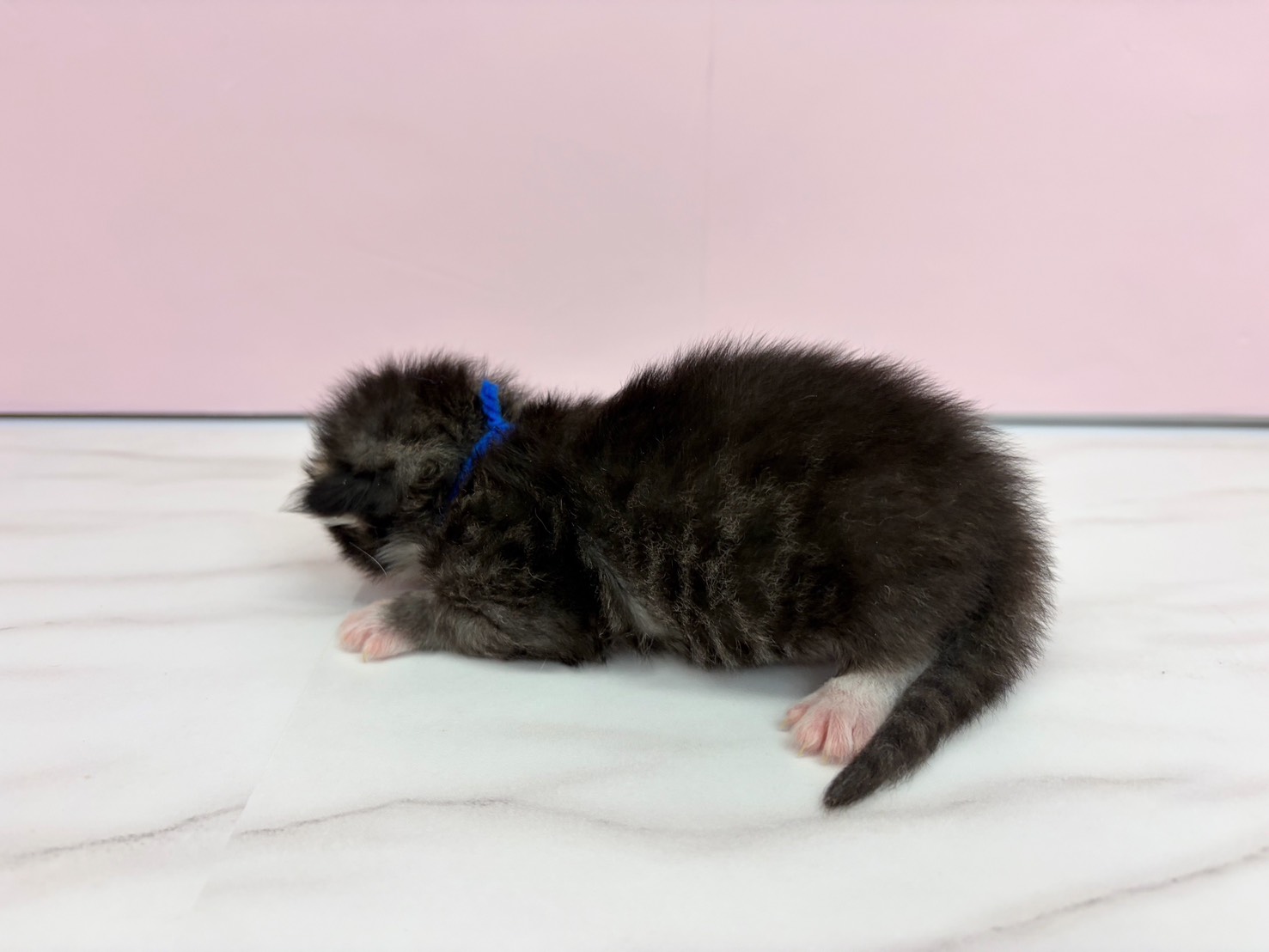 赤ちゃん写真1-2