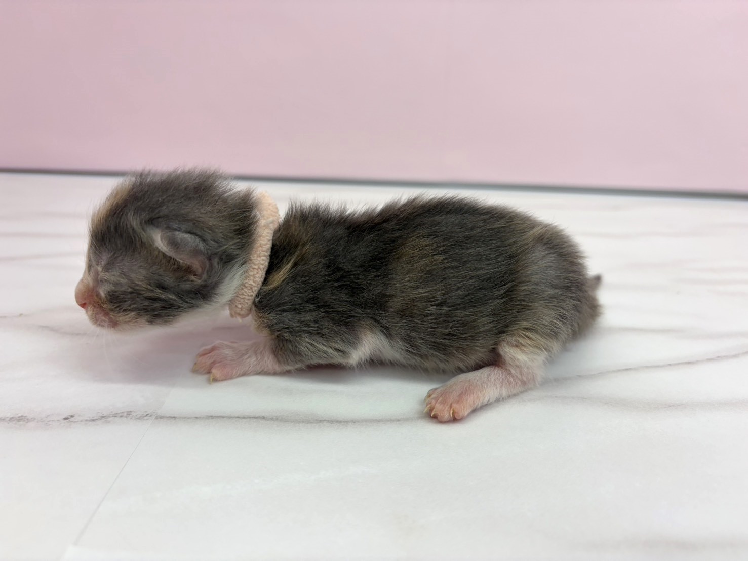赤ちゃん写真1-2