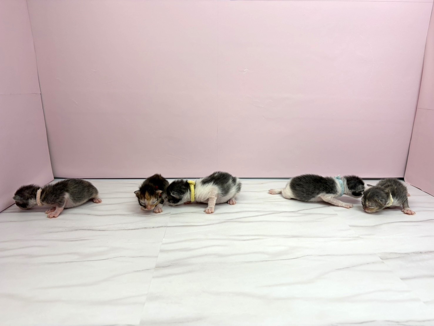 赤ちゃん写真1-3