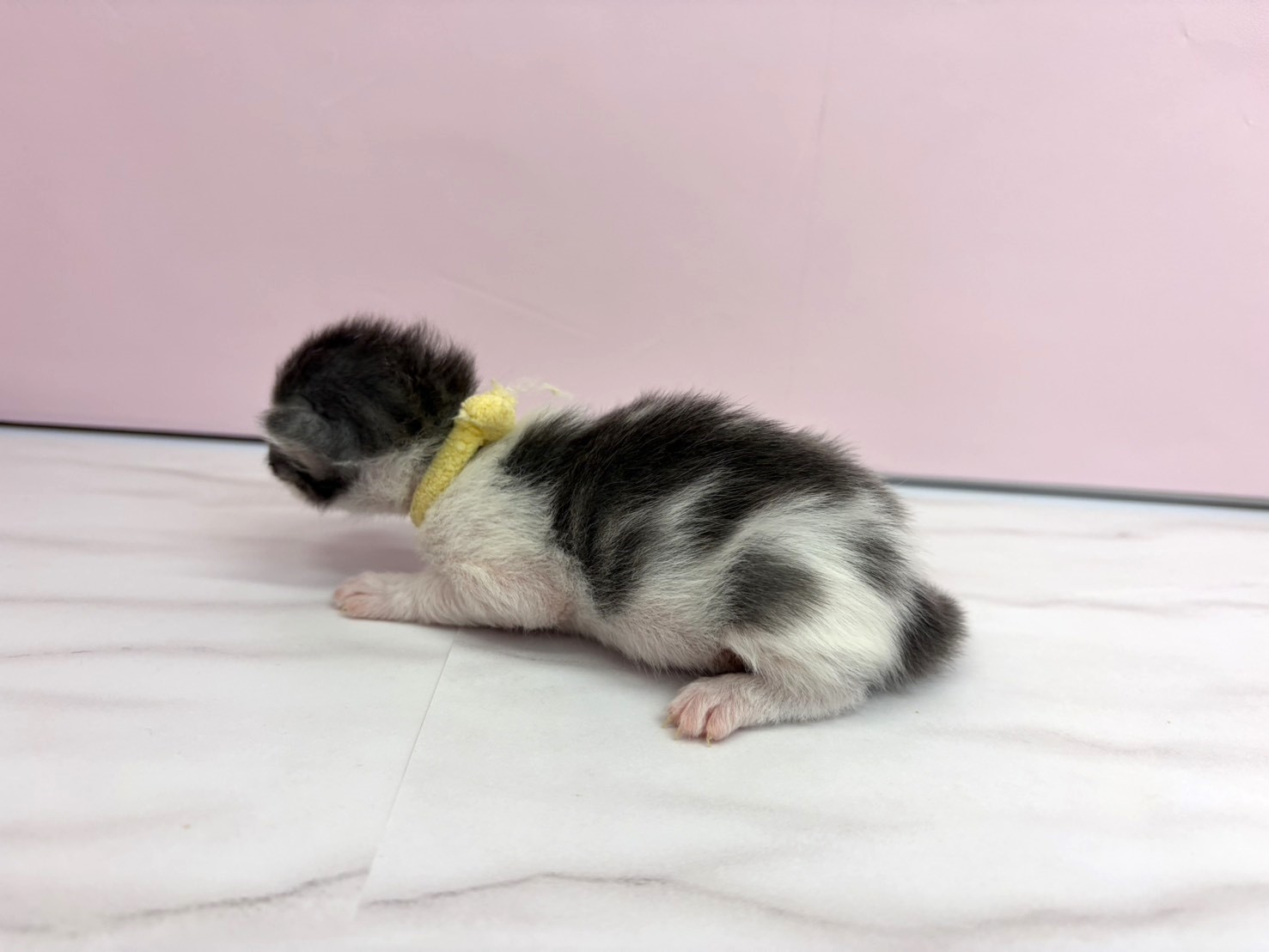 赤ちゃん写真1-2