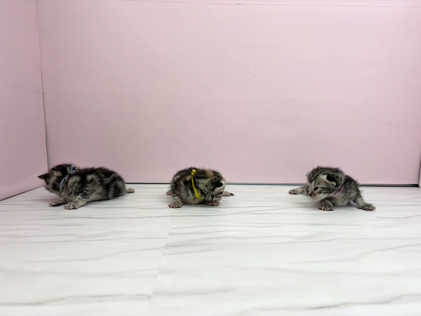 赤ちゃん写真1-3