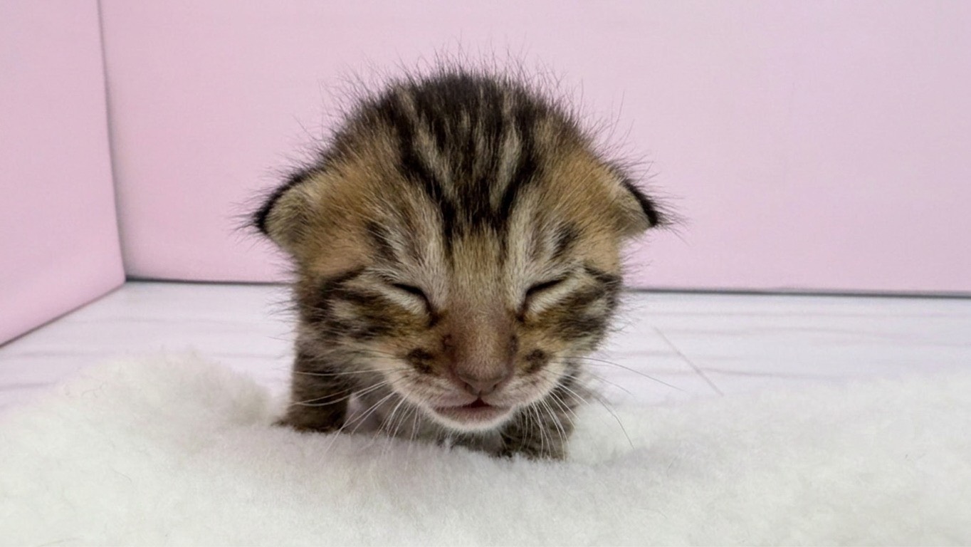 赤ちゃん写真1-1