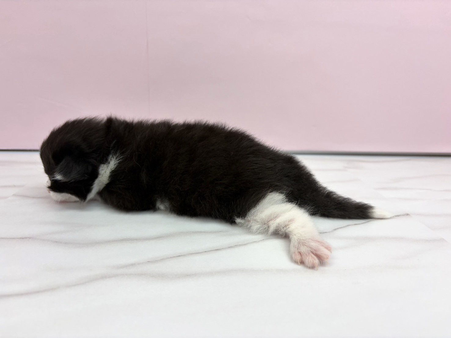 赤ちゃん写真1-2
