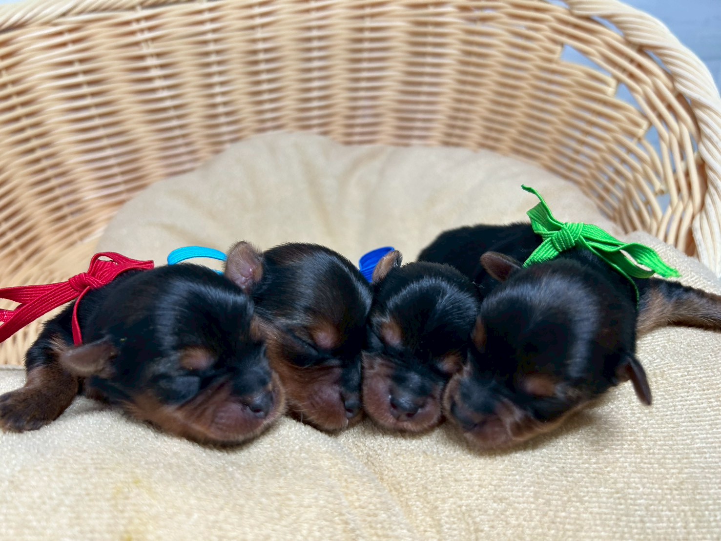 赤ちゃん写真1-3