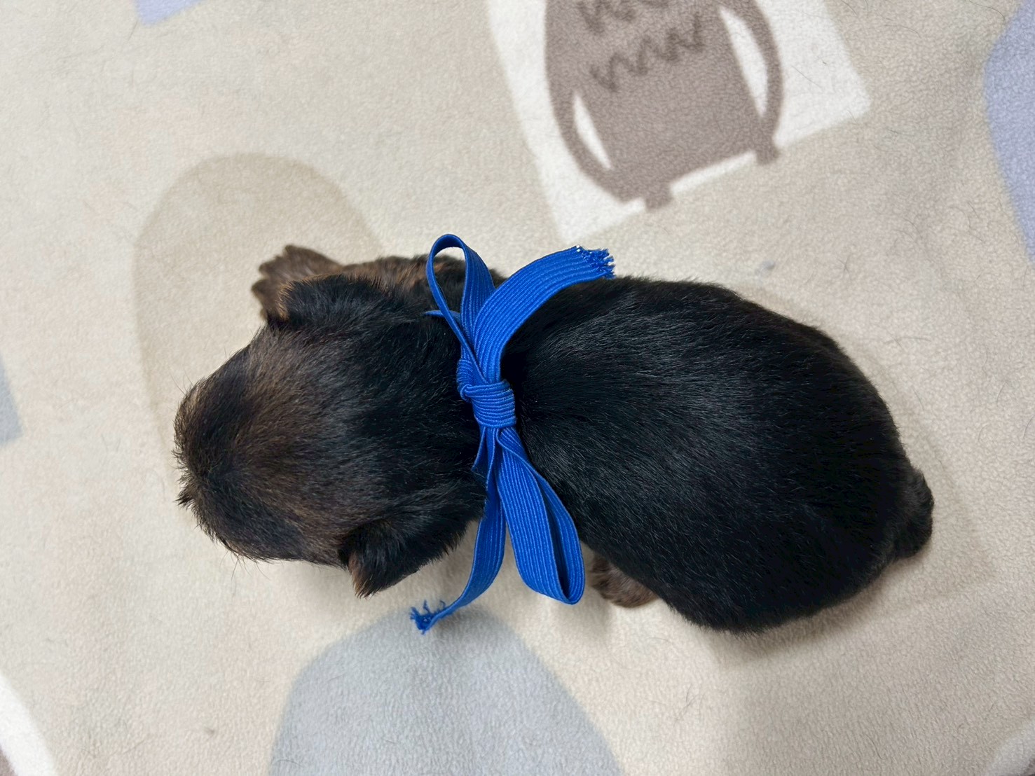赤ちゃん写真2-3