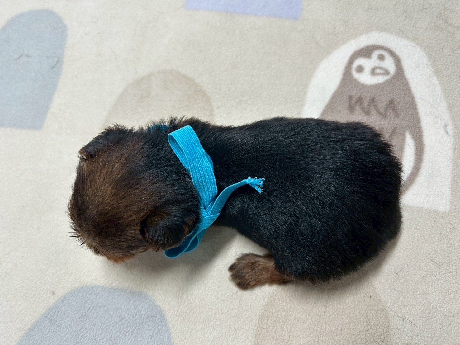赤ちゃん写真2-3
