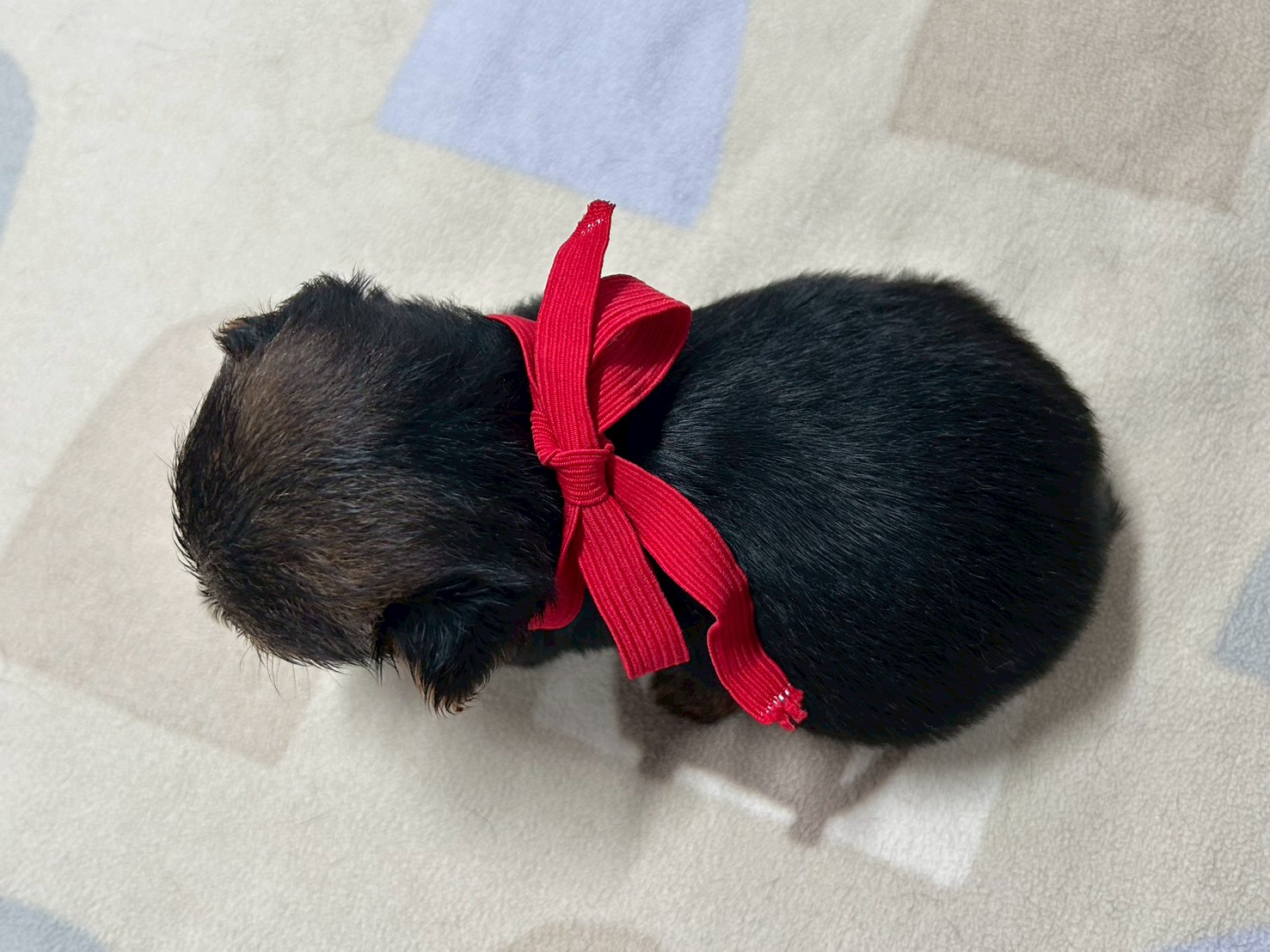 赤ちゃん写真2-3