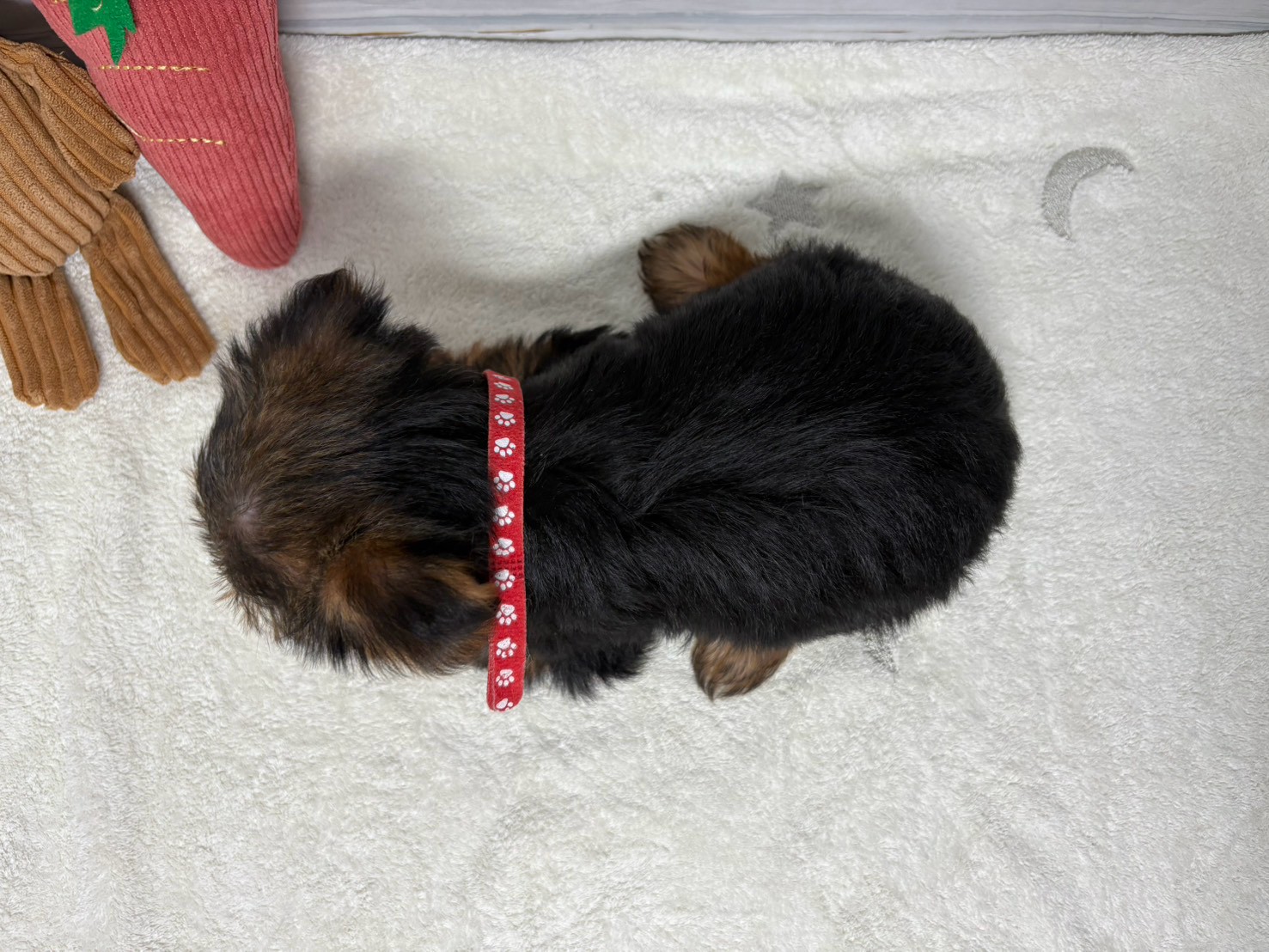 赤ちゃん写真3-3