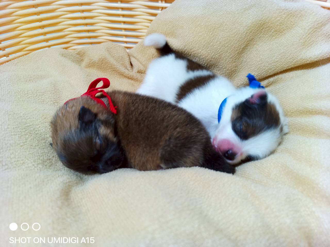 赤ちゃん写真1-3