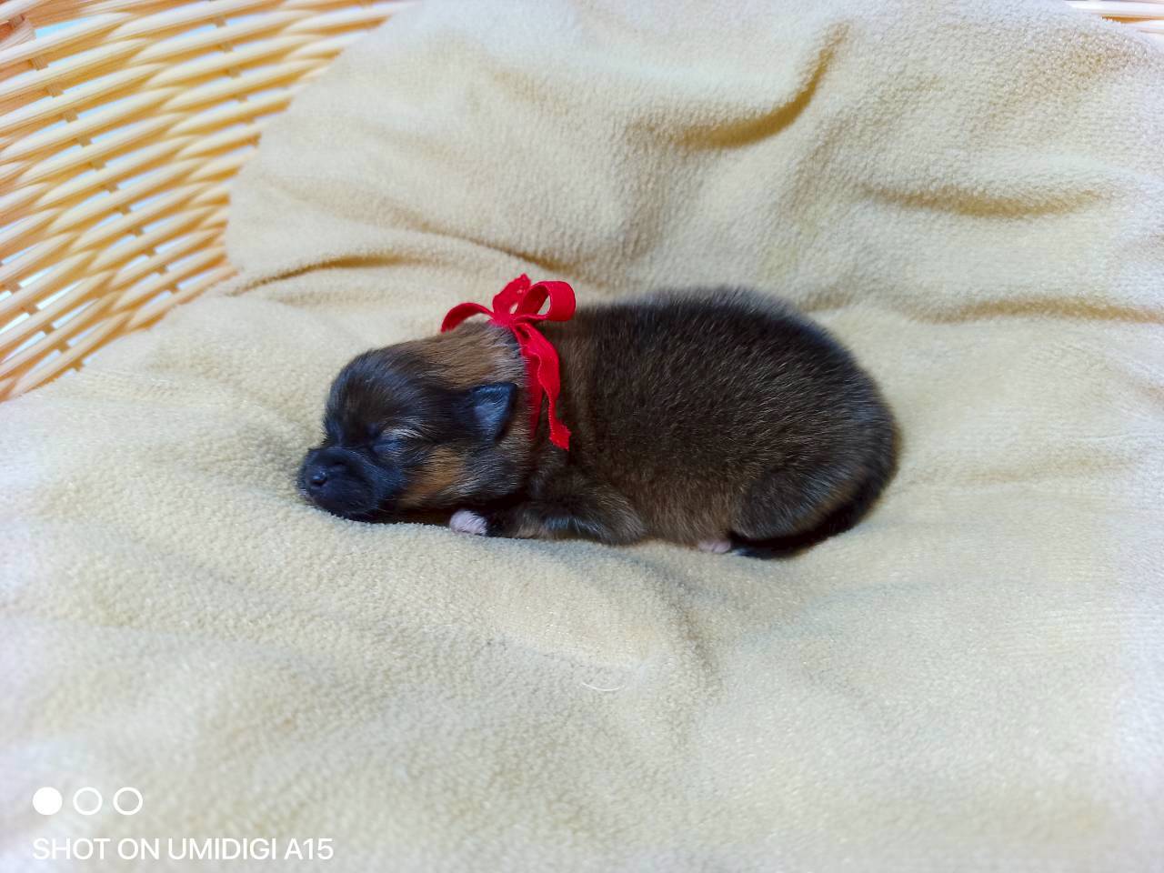 赤ちゃん写真1-2