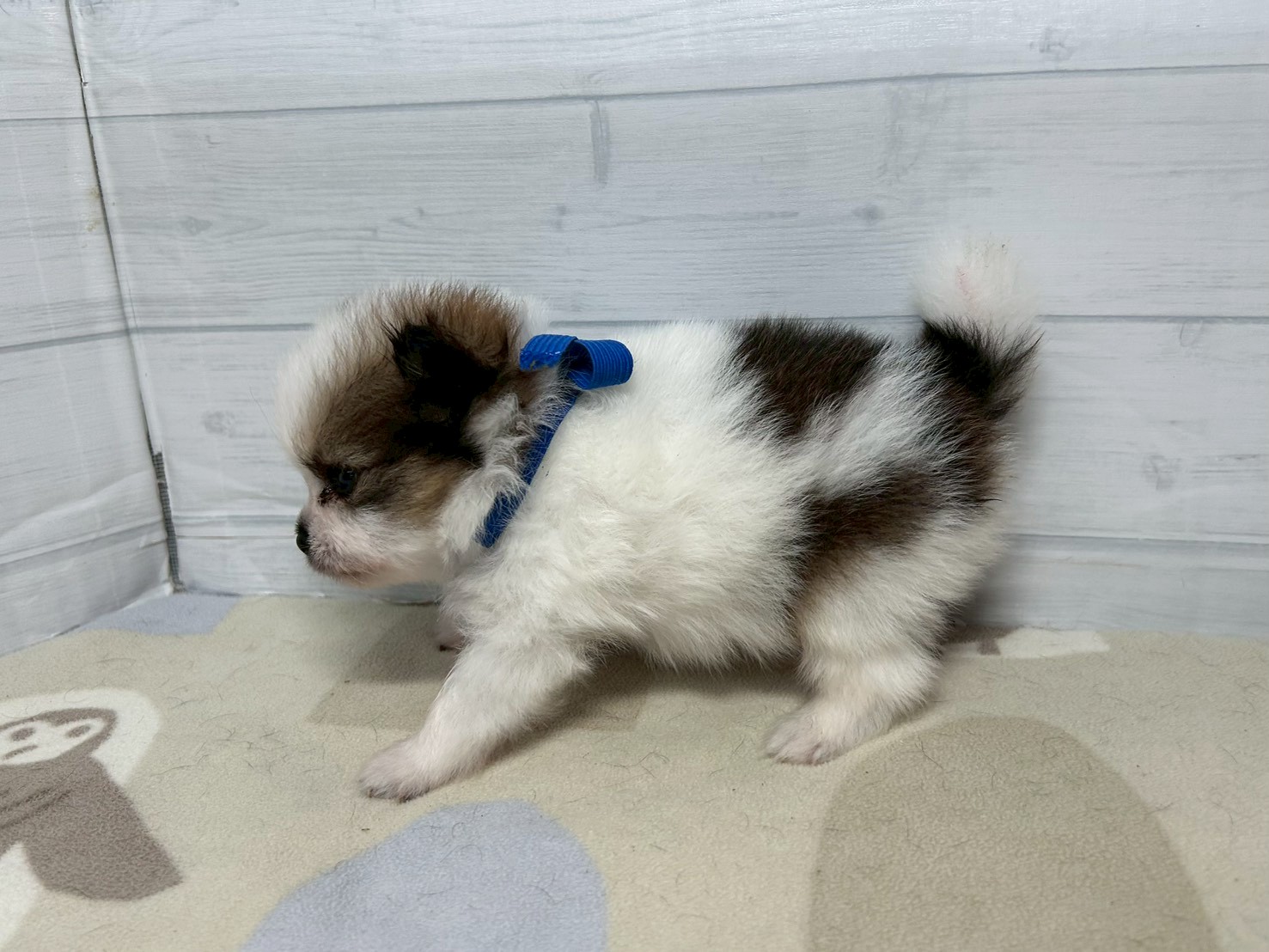 赤ちゃん写真2-2