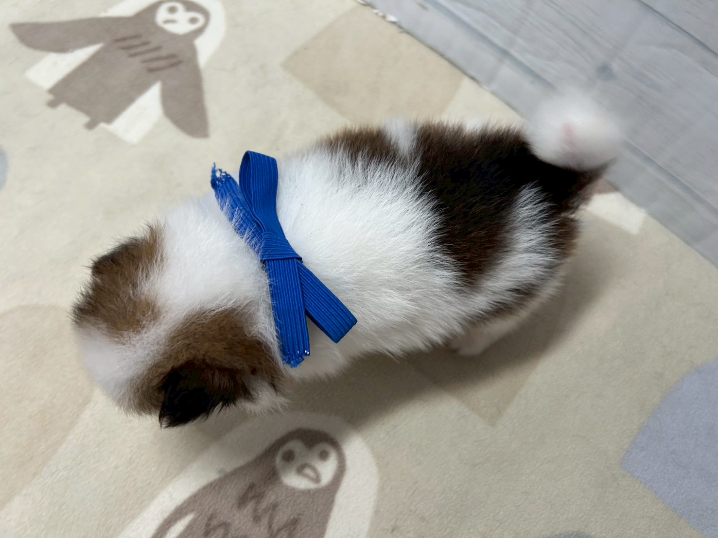 赤ちゃん写真2-3
