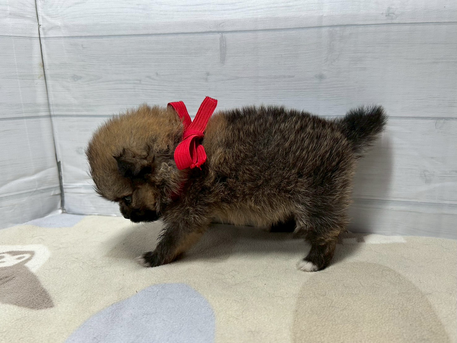 赤ちゃん写真2-2