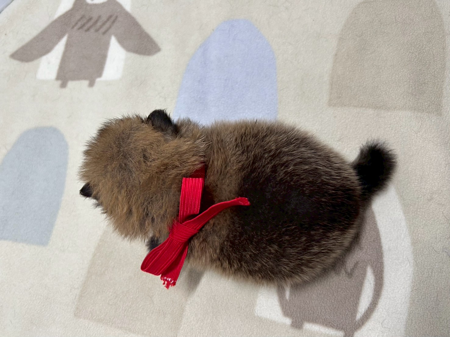 赤ちゃん写真2-3