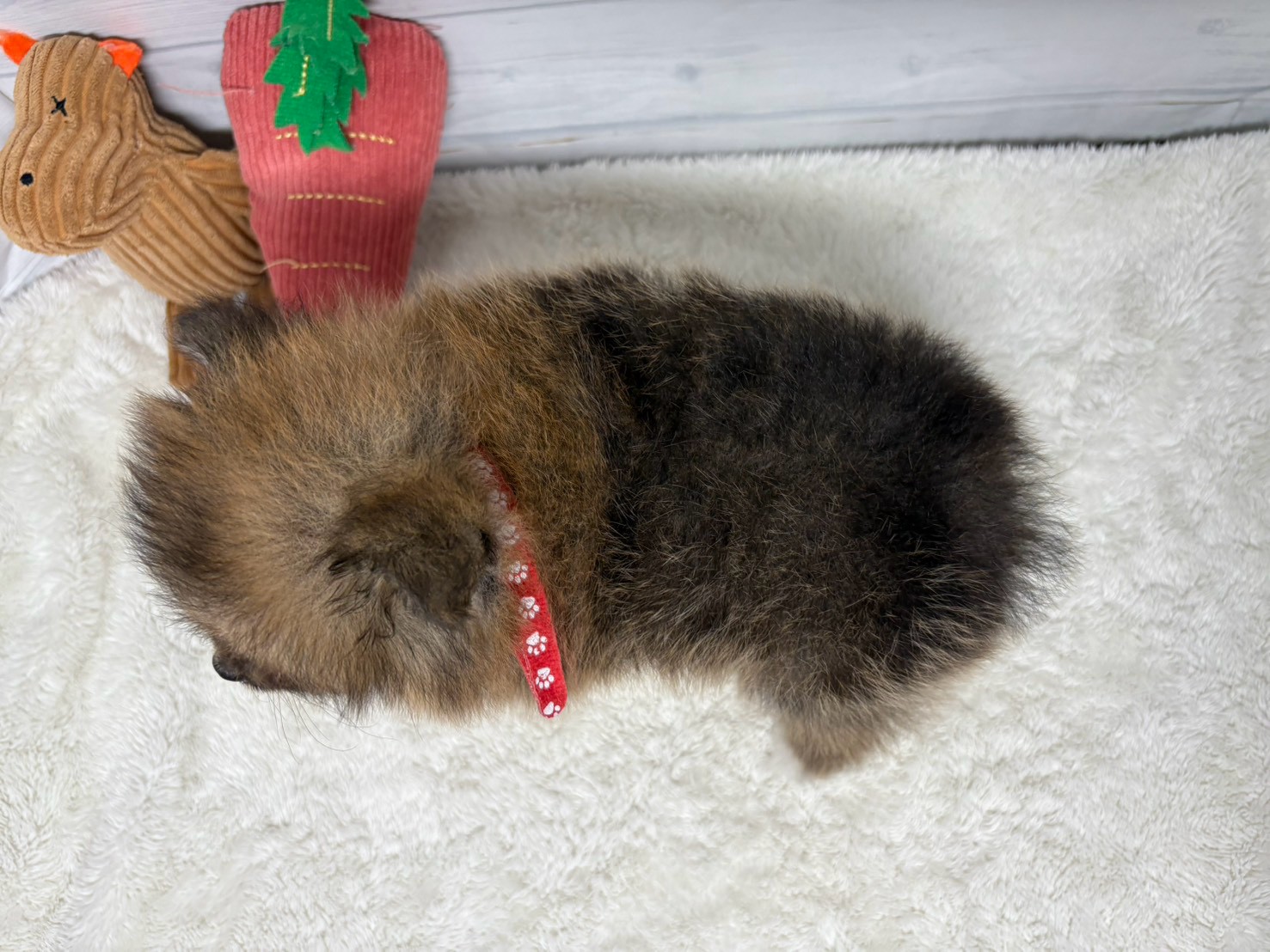 赤ちゃん写真3-3