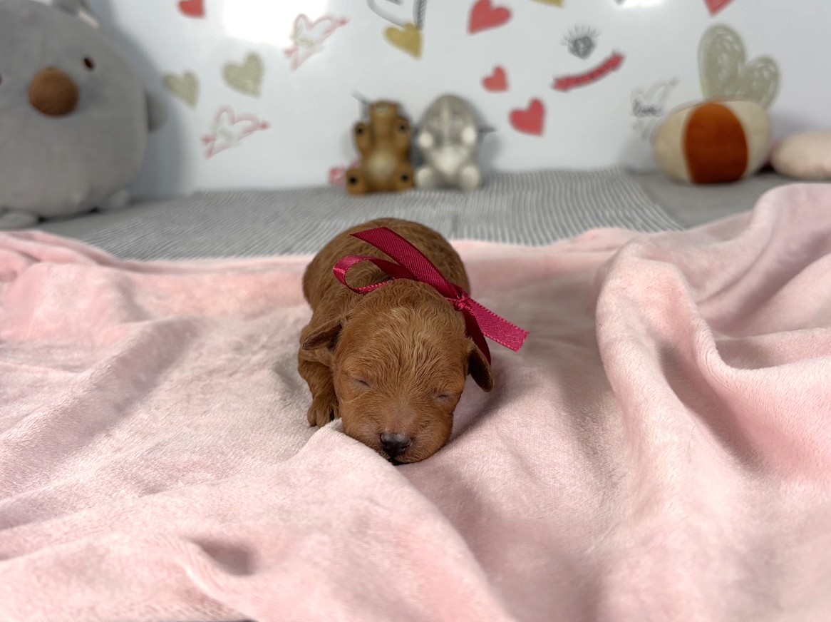 赤ちゃん写真1-1