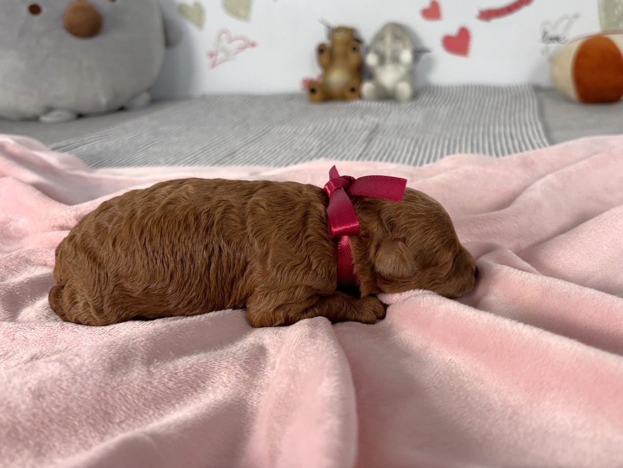 赤ちゃん写真1-2