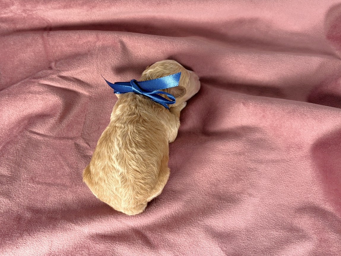 赤ちゃん写真1-3