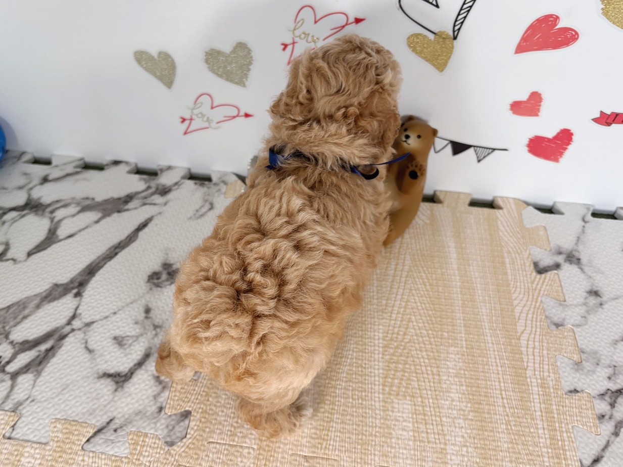 赤ちゃん写真2-3