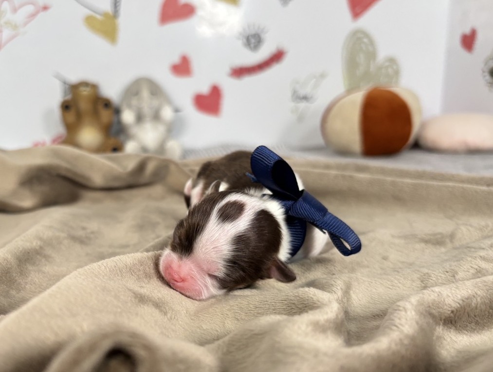 赤ちゃん写真1-1