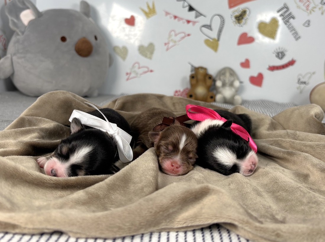 赤ちゃん写真1-3