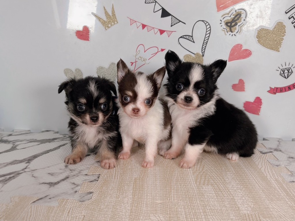 赤ちゃん写真2-3