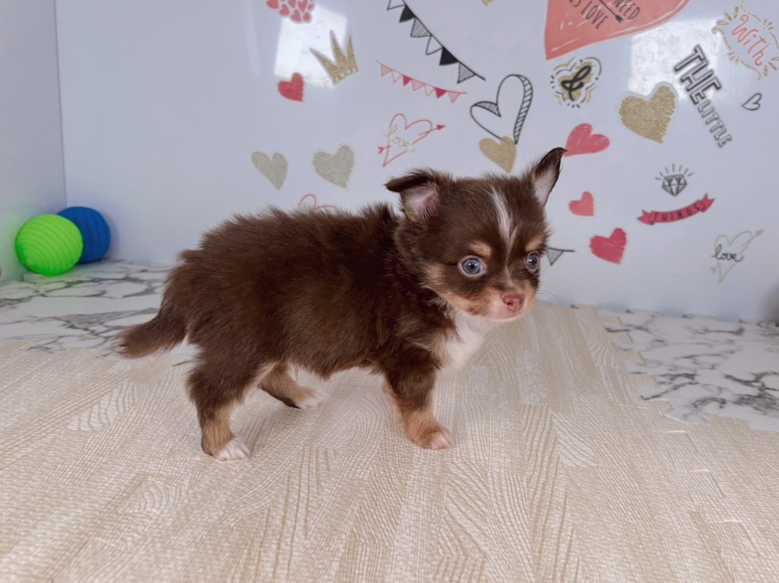 赤ちゃん写真2-2