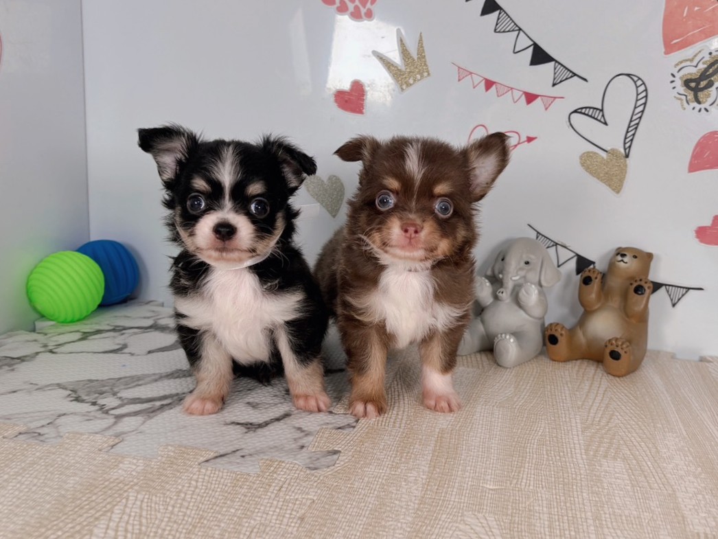 赤ちゃん写真2-3