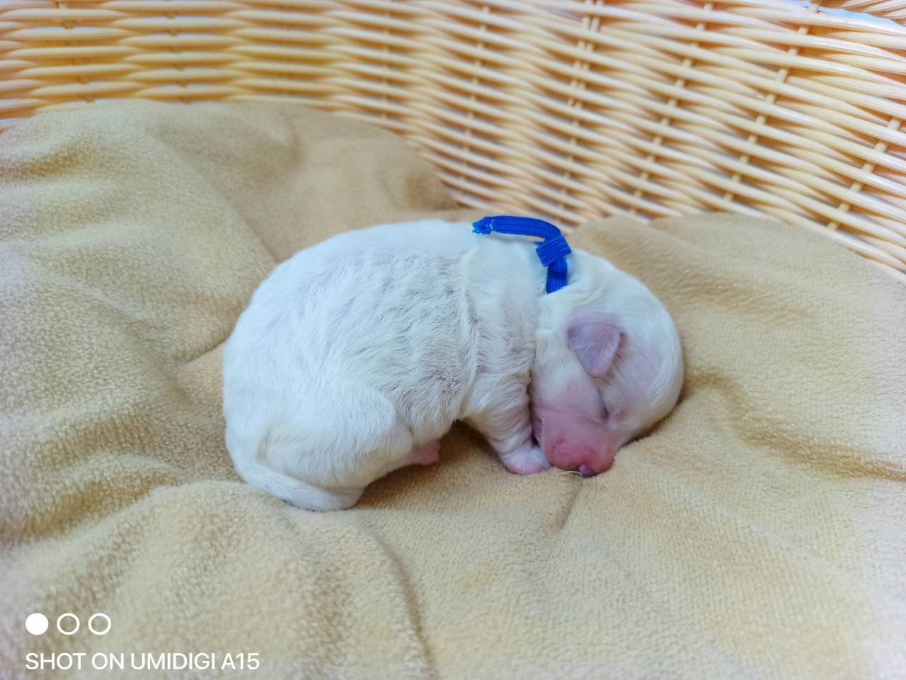 赤ちゃん写真1-2