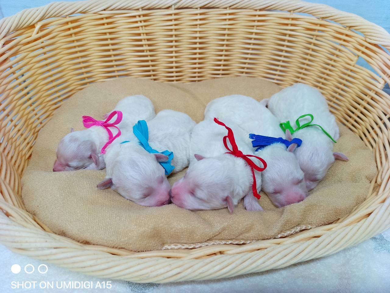 赤ちゃん写真1-3