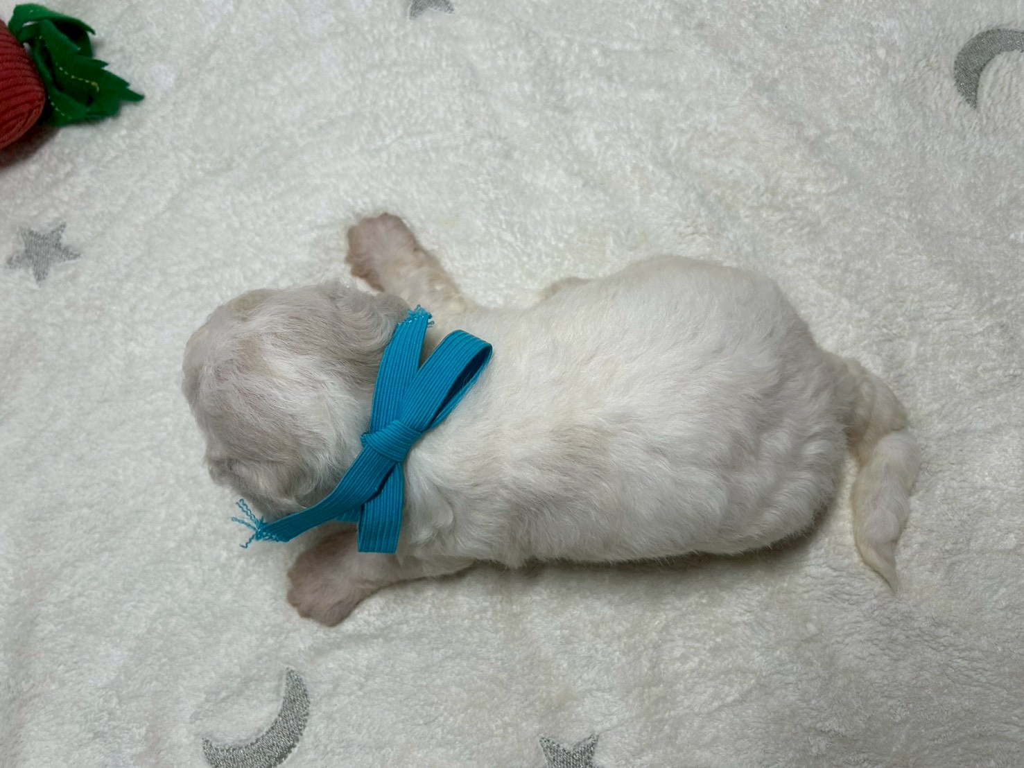 赤ちゃん写真2-3