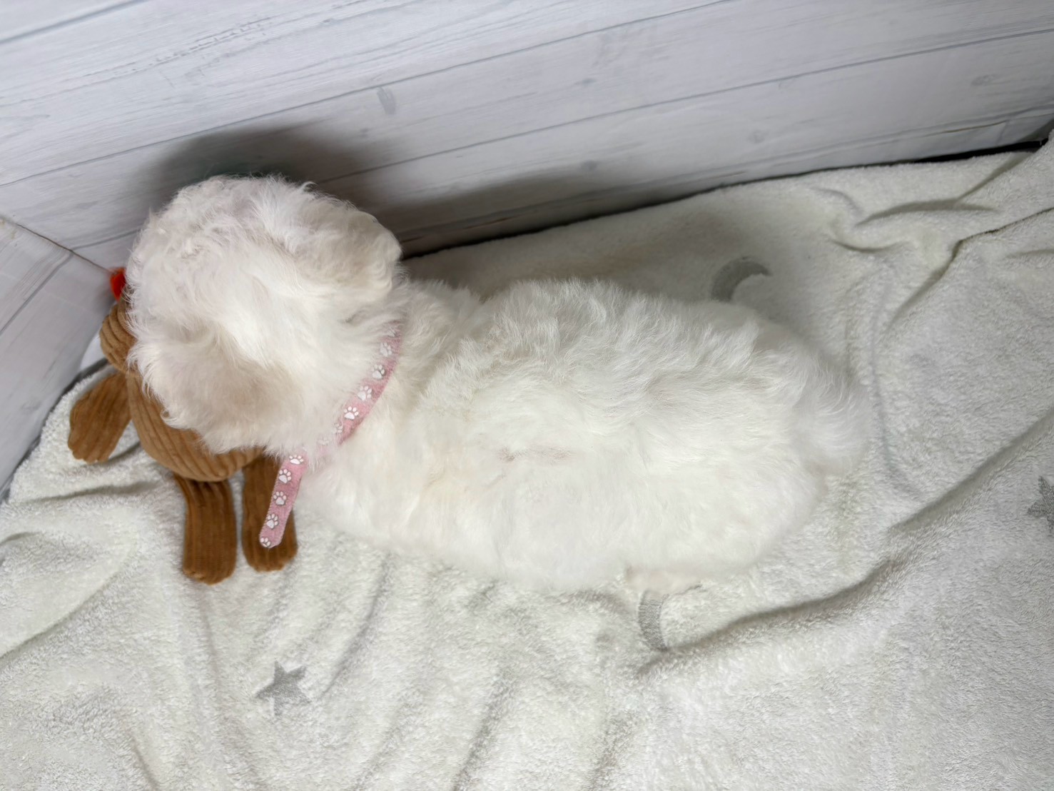 赤ちゃん写真3-3