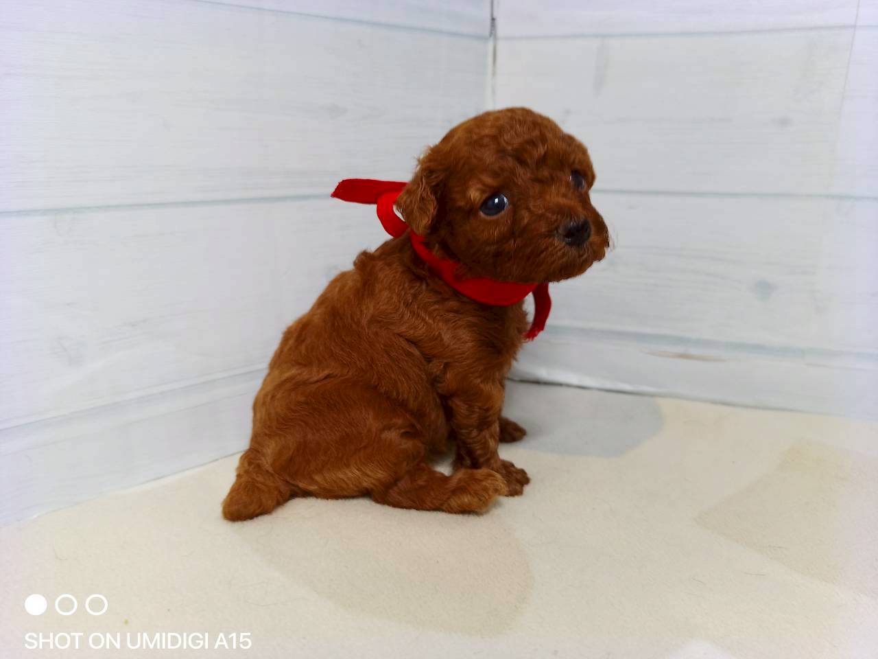 赤ちゃん写真2-2