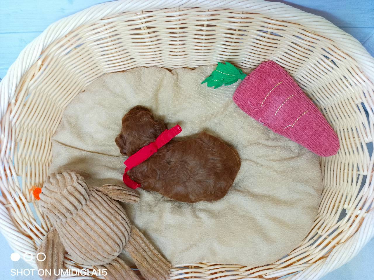 赤ちゃん写真2-3