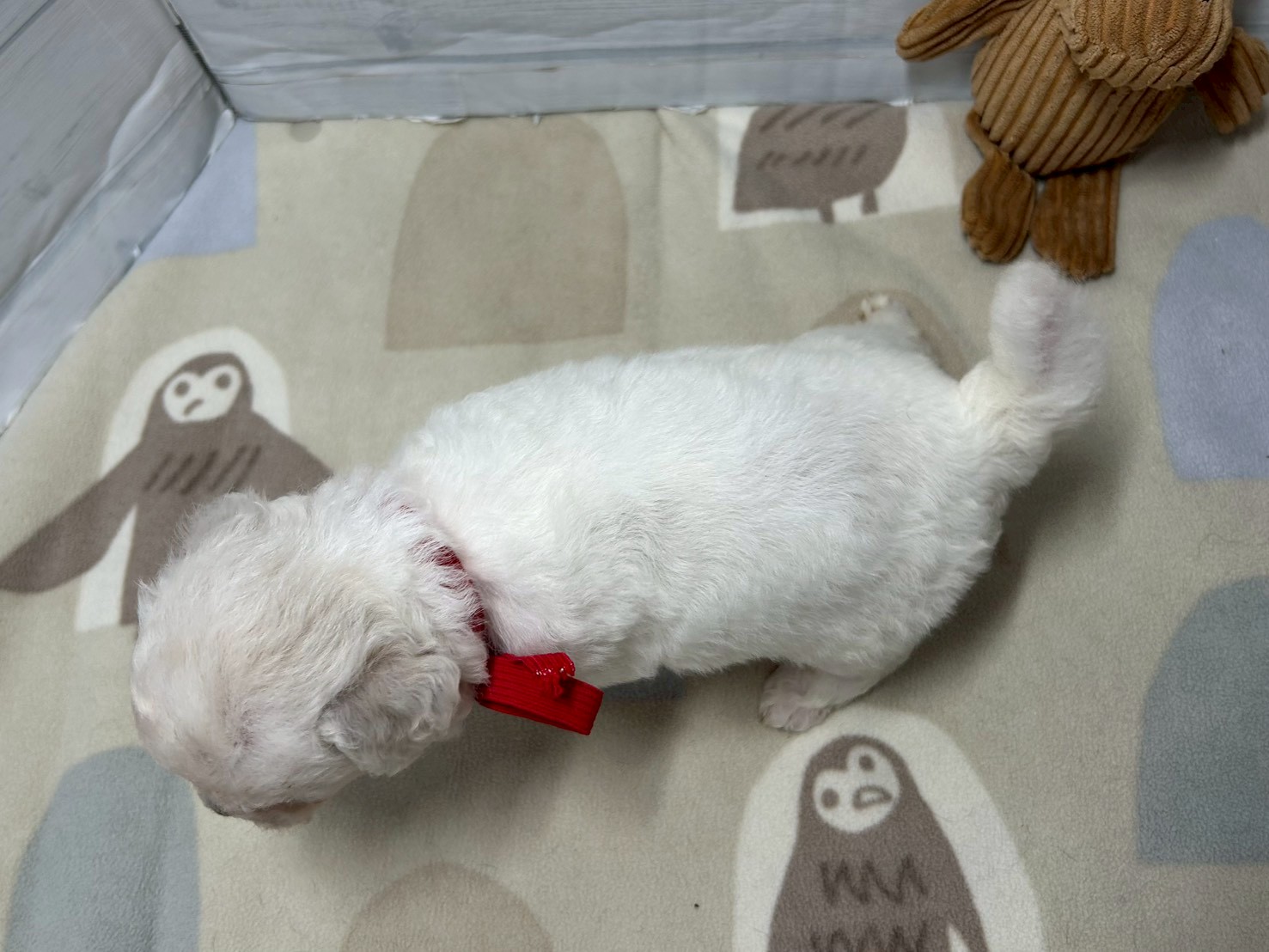 赤ちゃん写真2-3