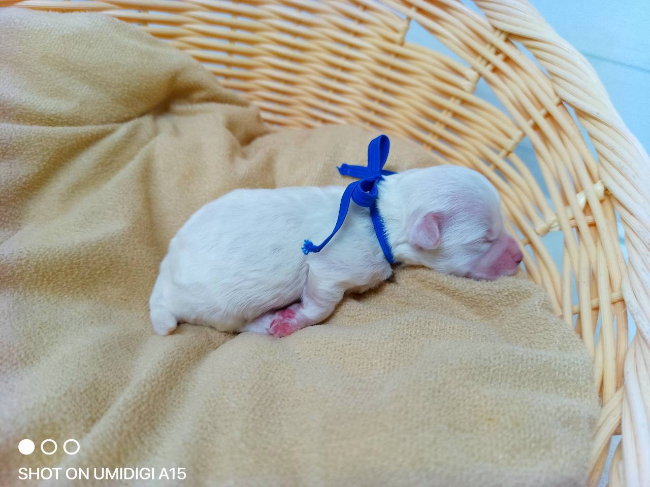 赤ちゃん写真1-2