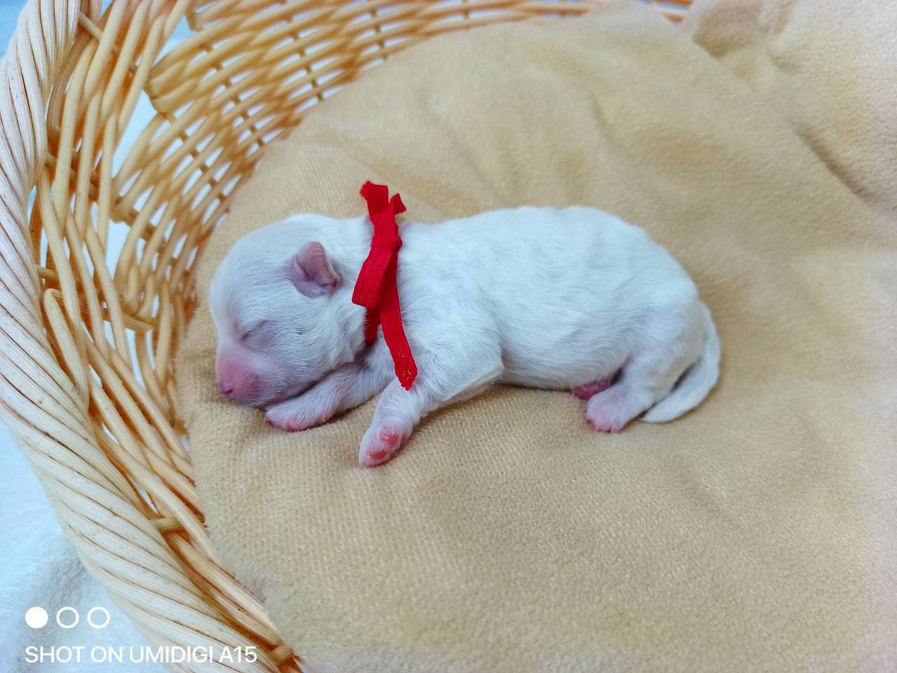 赤ちゃん写真1-2