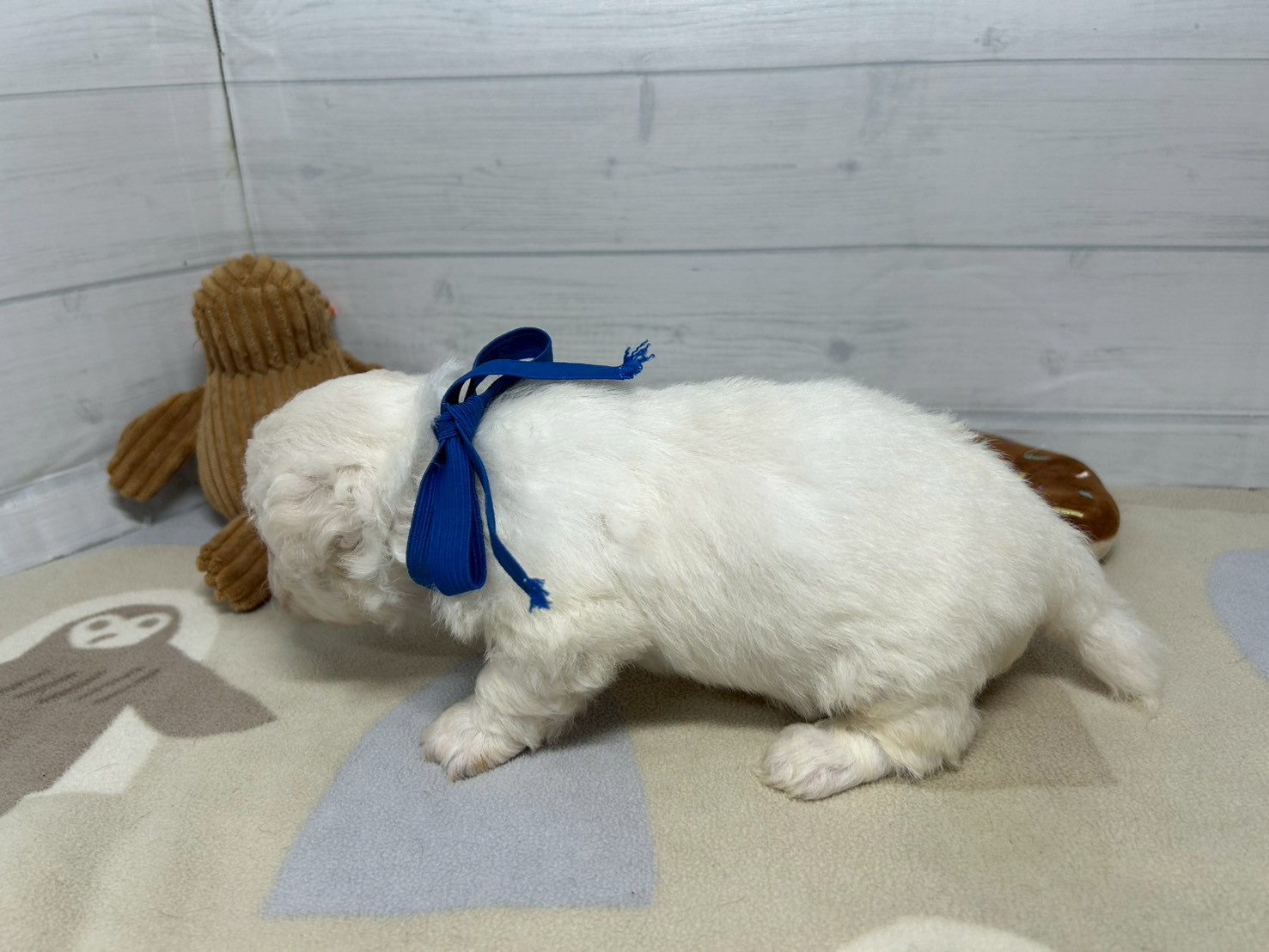 赤ちゃん写真2-2