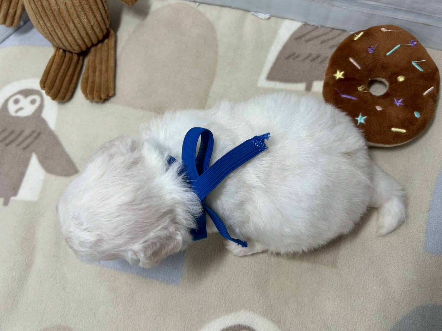 赤ちゃん写真2-3