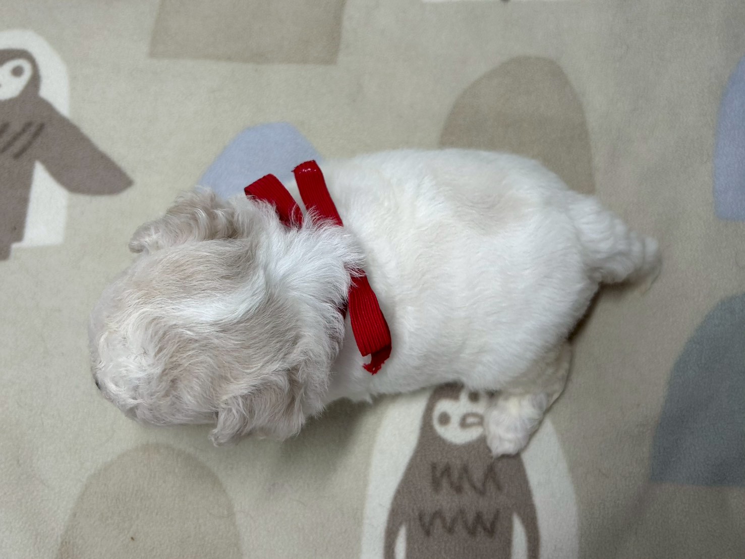 赤ちゃん写真2-3